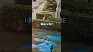 Hoa Karen Kept Stealing My Sprinkler Water So I Filled The Line With Vinegar And Dye