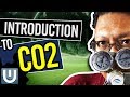 Introduction To Co2 - The Ultimate Aquarium Co2 Guide - Part 1