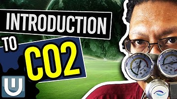 Introduction To Co2 - The Ultimate Aquarium Co2 Guide - Part 1