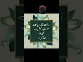 "دعاؤں میں محبت — سب سے قیمتی اثاثہ"