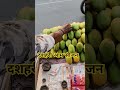 दशहरी आम लखनऊ #shorts #motivation #ytshorts #railway #viral_video #viral_shorts #vlog #youtubeshort