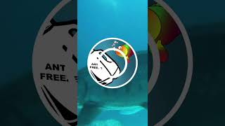 Antifreeze proteins prevent fish from freezing #science #biology #fish #cmi