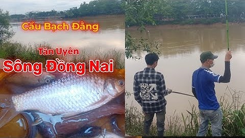 #32 Điểm Câu Mới | Câu Cá Tự  Nhiên | Cầu Bạch Đằng tân uyên | Sông Đồng Nai | @Lão Để TV....