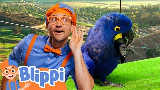 blippi s zoo camp out educational kids videos fun compilations