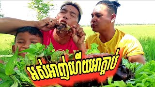 ជើងជ្រូកស្ងោរជាតិ