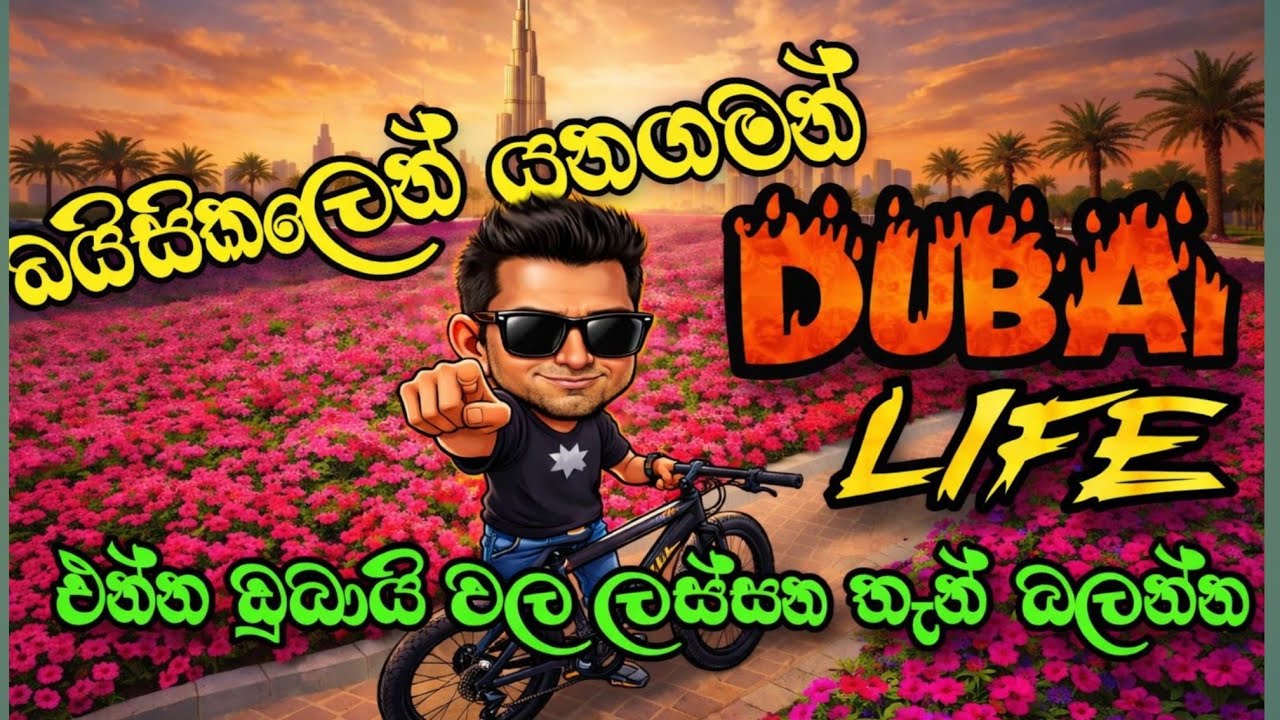 Cycling Tour in the UAE 🇦🇪 | Nuwa #cycling #dubai #view #health #ride #travel 