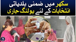 Polling for local body elections is underway in Sukkur - Aaj News