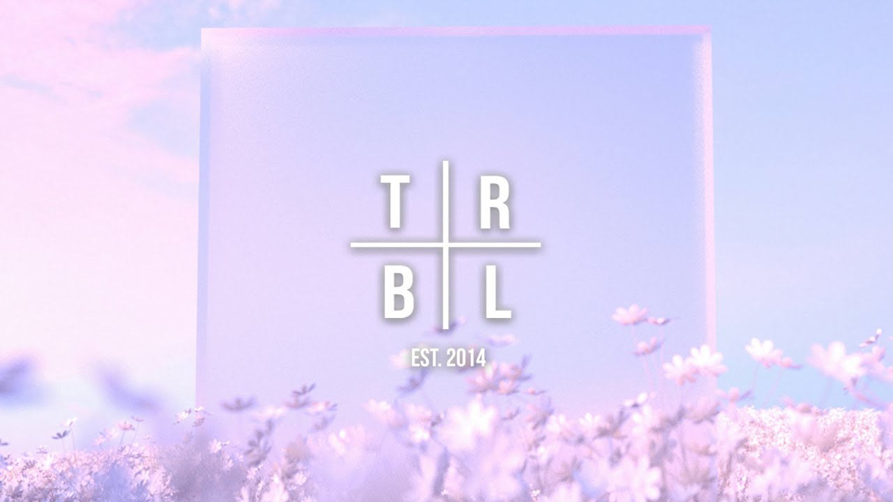 MRVLZ & TWSTD ZOO - In My Heart