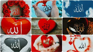 Islamic dpz collection❤️ || Allah Muhammad name dp images for WhatsApp || Beautiful dpz