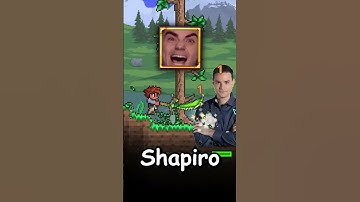 THE WEIRDEST TERRARIA MODS YOU DIDN