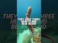 The Smartest Ocean Animal Has the Saddest Life #animalfacts #didyouknow #animals #wildlife #facts
