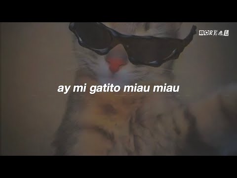 My Kitty Meow Meow Lyrics 