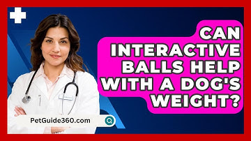 Can Interactive Balls Help With A Dog