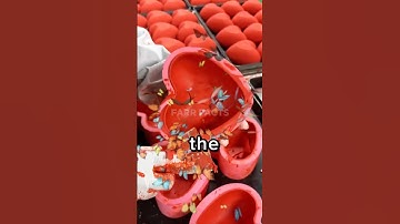 Mind-Blowing Science Facts You   Won’t Believe! 🤯 #funfacts  #didyouknow #trendingshorts