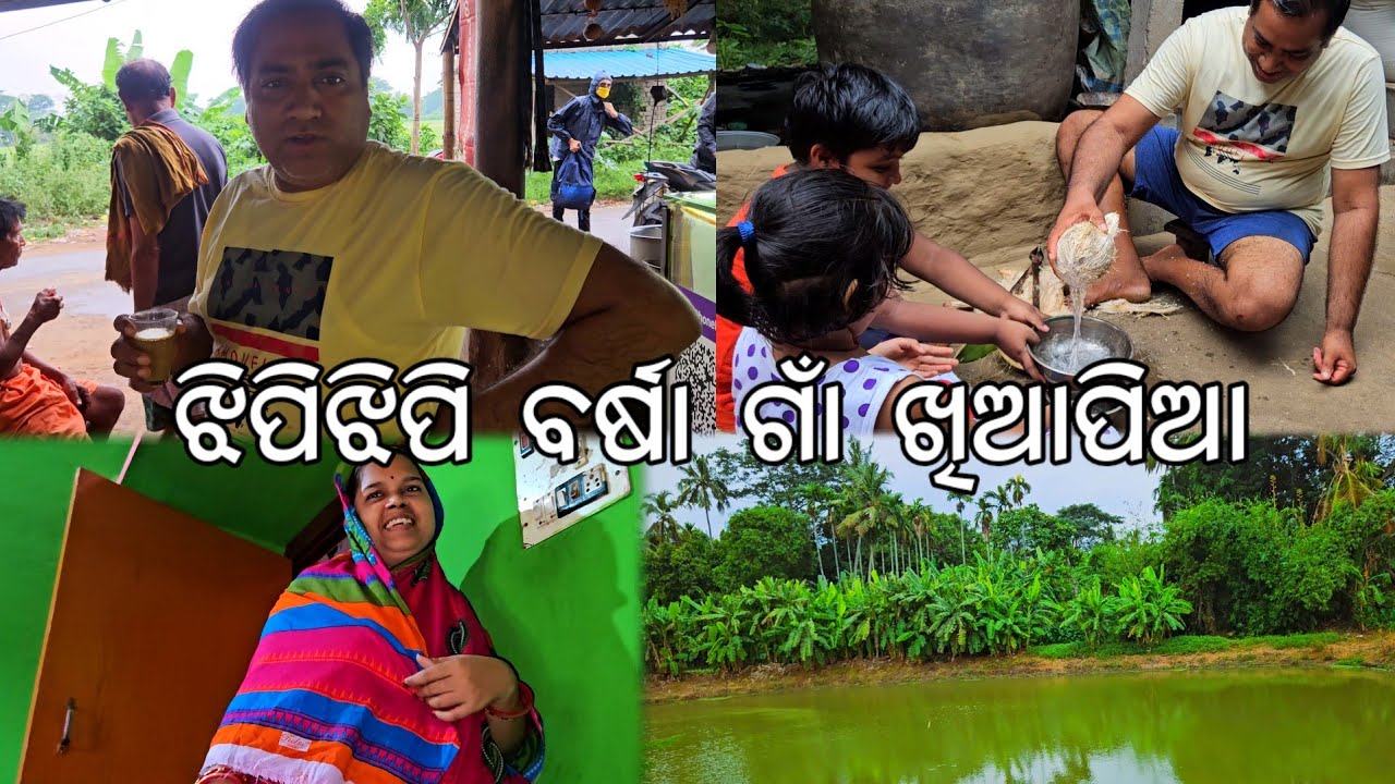 ଝିପିଝିପି ବର୍ଷା ଗାଁ ଖିଆପିଆ l Gouranga Nayak Odia Vlogs