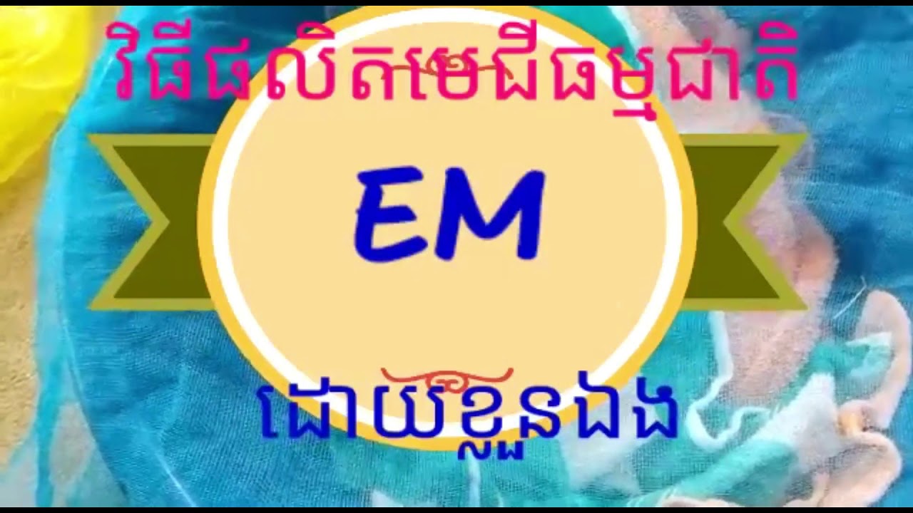 វិធីផលិតមេជីធម្មជាតិ