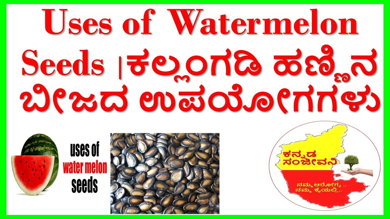 uses of watermelon seeds..health benefits of watermelon seeds.. YouTube