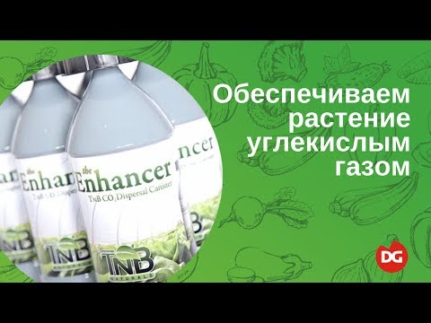 №35 Углекислый газ для растений. Как обеспечить растение углекислым газом.