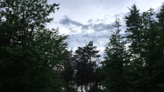 Starstorm Forest - Ravein The Night Instrumental