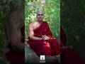 புண்ணியம் செய்ய பயப்படாதீர்கள் | Dharma Yathra   #Shorts #TamilBuddhism #Punniyam