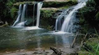 Vignette de la vidéo "Natura ( Odessa -Martin Tillman- )"