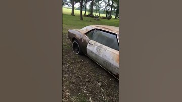 1968 Pontiac Firebird Sprint running