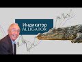 Индикатор Alligator + торговая стратегия