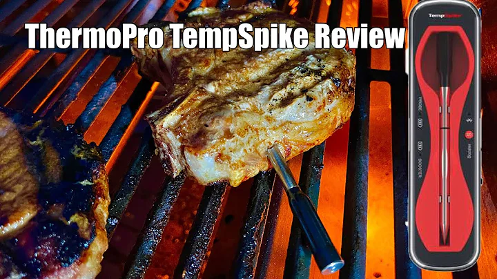 ThermoPro TempSpike Review