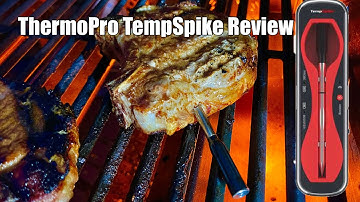 ThermoPro TempSpike Review