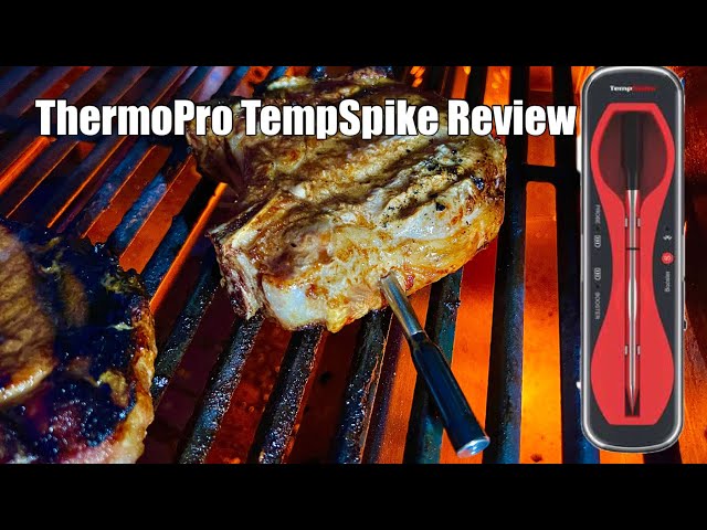 ThermoPro TempSpike Review 