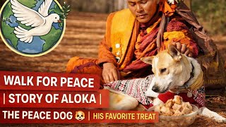 Walk For Peace Story Of Aloka The Peace Dog Alokas Favorite Treat