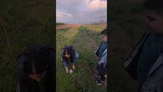 Uygar Damla Ormanda Pasta Buldu Annesi̇ Papatya Dedi̇ Kavga Çikti Şfet