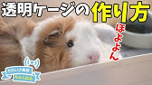 Diy モルモットのケージの土台の作り方 Mottoバージョン I Made A Guinea Pig Cage Youtube