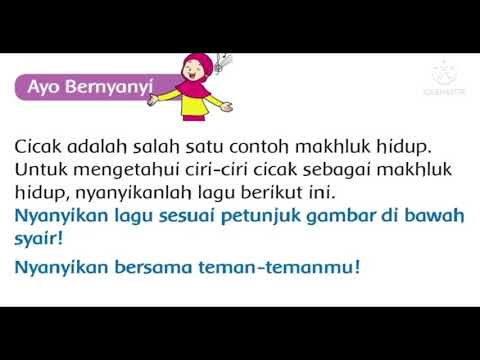 Video: Pusingan PSN: Kembalinya Istimewa • Halaman 3