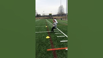 Female Athlete Deceleration first Progression