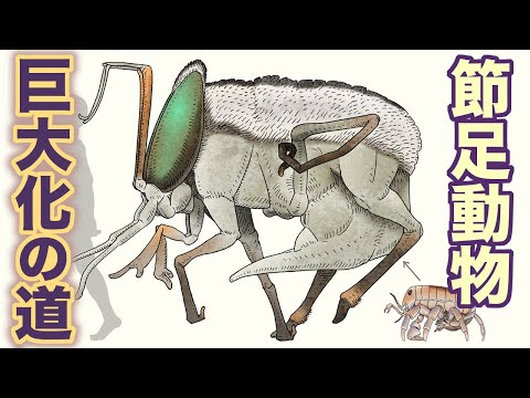節足動物 巨大化への道 地球の歴史 その96 - YouTube