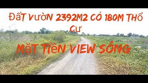 ĐẤT VƯỜN MẶT TIỀN SÔNG LỚN 2390m CÓ 180M THỔ CƯ TẠI XÃ BÌNH MỸ