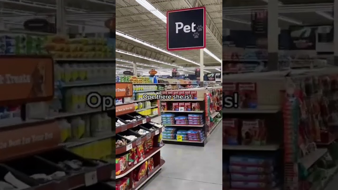 I CAN’T BELIEVE HE DID THIS 😂 @RegalNoise 