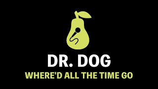 Dr. Dog - Where'd All the Time Go (Karaoke)