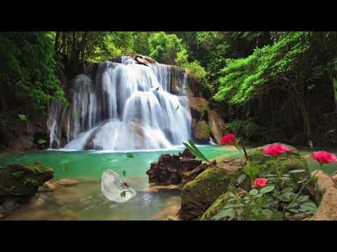 e Satus | Waterfall | WhatsApp Status | Beautiful Scenery | Status WhatsApp Video | Nature