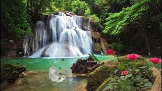 e Satus | Waterfall | WhatsApp Status | Beautiful Scenery | Status WhatsApp Video | Nature