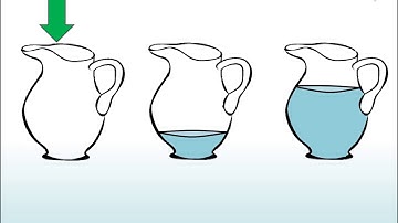 Sunflowers  Maths ordering amounts capacity lesson 4