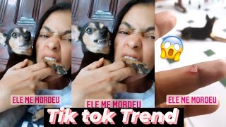 Dog Angry To Tik Tok Trend || angry dog and cat by Cute animal things 54 views 2 years ago 2 minutes, 19 seconds