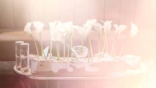 Meilleure Events Kosha - Abu Dhabi Villa Tent Wedding