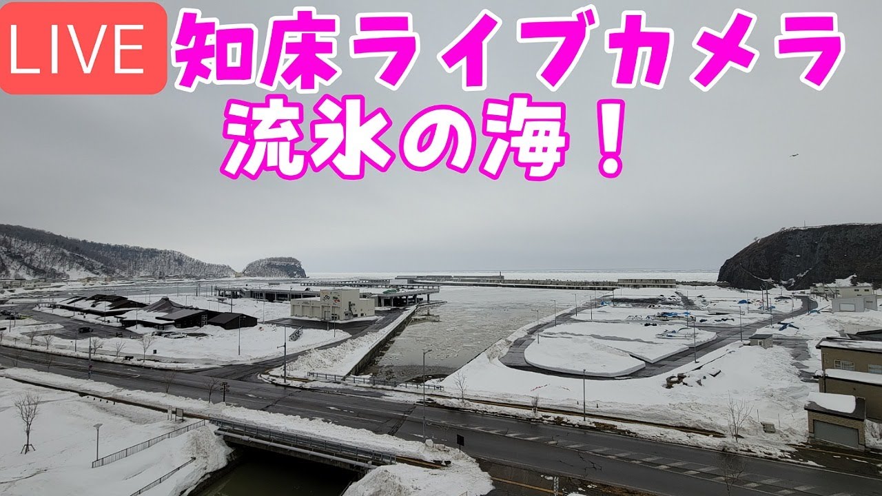 知床ライブカメラ 流氷の海 Youtube