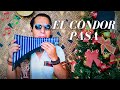 El Condor Pasa - Flauta Pan - Instrumental