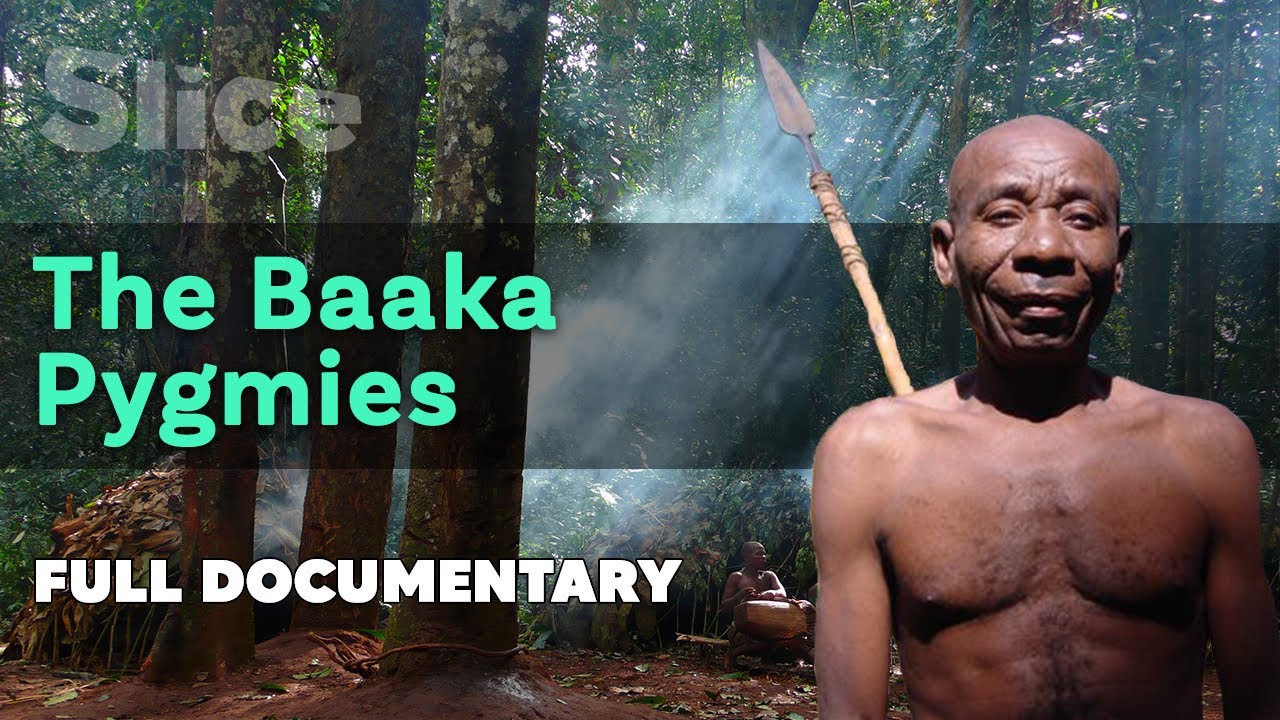 The Baaka Pygmies (2022)