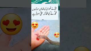 Meri Kya Hai Khata Full Noha Slowed And Reverb