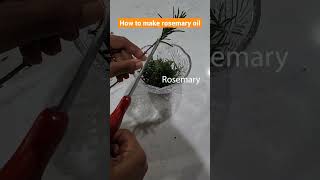 How to make rosemary oil: The quick and easy way! #shorts #rosemary #rosemaryoil screenshot 1