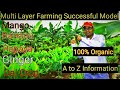 Multi-layer Farming Successful Model_5 Layer model_मल्टी लेयर फार्मिंग सफल मॉडल_5 लेयर फार्मिंग